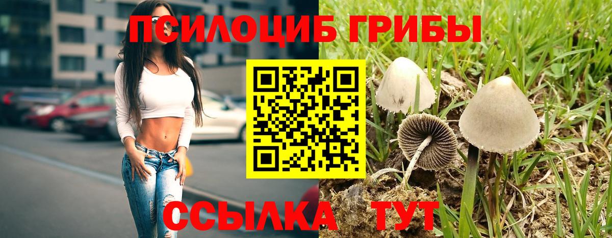 Псилоцибиновые грибы Psilocybe  Вход с VPN  Гуково 